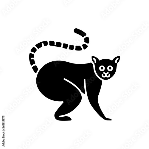 Ring tailed lemur black glyph icon. Adorable exotic animal, tropical rainforest wildlife. Native Madagascar inhabitant silhouette symbol on white space. Cute lemur catta vector isolated illustration