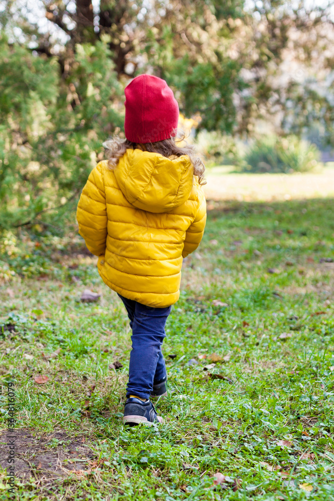 Girl walking through the autumn forest on warm sunny day. Exploring nature, travel, family vacation. Outdoor recreation and awesome adventures with kids in fall
