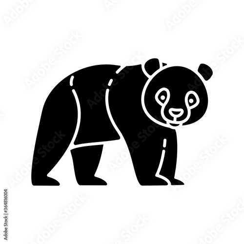 Fototapeta Naklejka Na Ścianę i Meble -  Panda bear black glyph icon. Native chinese fauna, common asian wildlife. Zoo mascot, oriental forest inhabitant silhouette symbol on white space. Black and white bear vector isolated illustration