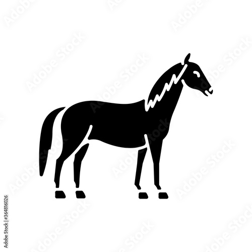 Horse black glyph icon. Wild stallion  common steed  mare. Equestrian sport  horse breeding silhouette symbol on white space. Purebred racehorse  untamed mustang vector isolated illustration