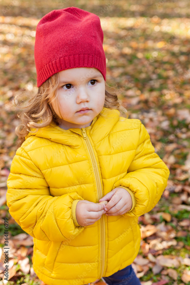 Portrait of little girl walking in forest on sunny warm day in autumn, children throwing leaves, kids have fun and are active in the fall concept outdoors Portrait of little girl walking in forest on sunny warm day in autumn, children throwing leaves, kids have fun and are active in the fall concept outdoors