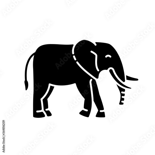 Photography Elephant black glyph icon