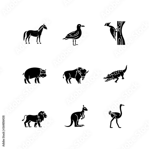 Flying and land animals black glyph icons set on white space. Common birds and exotic wildlife silhouette symbols. Diverse herbivore mammals and carnivore predators. Vector isolated illustrations