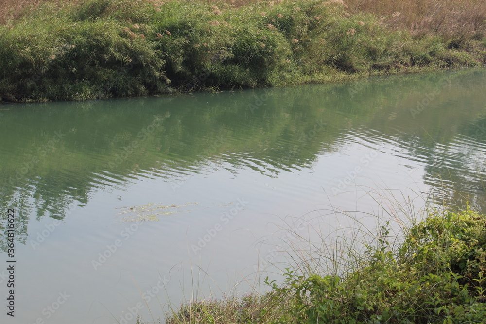 Cropped view of a beautiful floating river. Green nature background. Cropped view of a beautiful floating river. Green nature background.