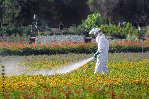 Nursery worker dressed in hazardous materials suit while spraying chemical insecticide on plants 