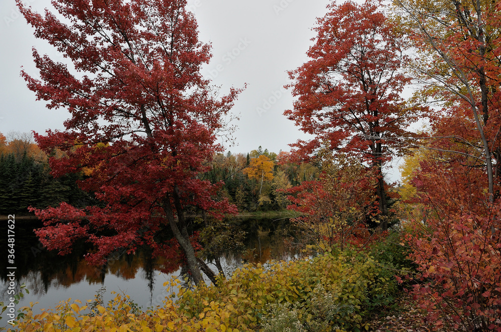 Autumn scenery landscape. Landscape of scenery of autumn with river. Multicolred trees. Picture. Photo. Image. Portrait. Tranquility. Peaceful. Autumn scenery landscape. Landscape of scenery of autumn with river. Multicolred trees. Picture. Photo. Image. Portrait. Tranquility. Peaceful.