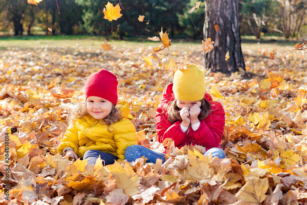 Children two cute toddler girls having fun with yellow leaves on sunny warm day in autumn, kids throw leaves, young friends play activity fall concept outdoors. Children two cute toddler girls having fun with yellow leaves on sunny warm day in autumn, kids throw leaves, young friends play activity fall concept outdoors.