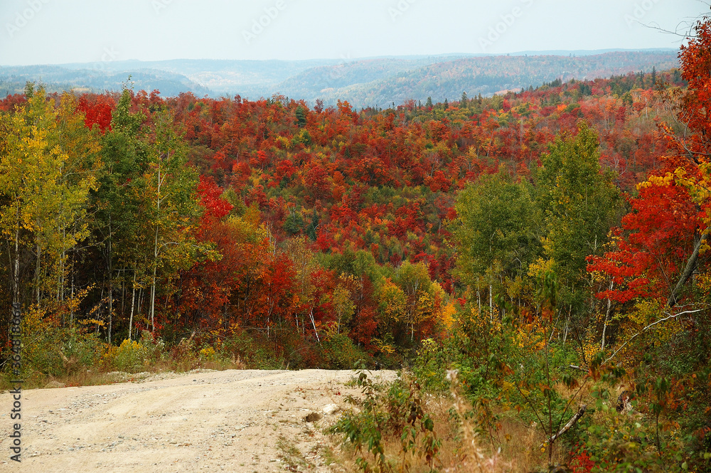 Scenery of Autumn landscape stock photos. Autumn scenery with gravel road with multicolor trees with a infinite view. Scenery of Autumn landscape stock photos. Autumn scenery with gravel road with multicolor trees with a infinite view.
