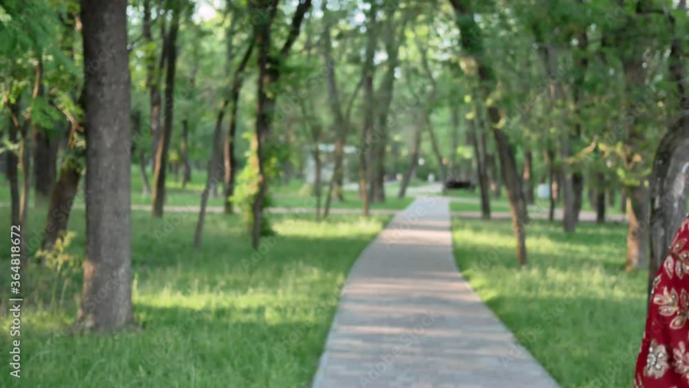 Portrait of a young woman in Indian saree walking in the Park Portrait of a young woman in Indian saree walking in the Park