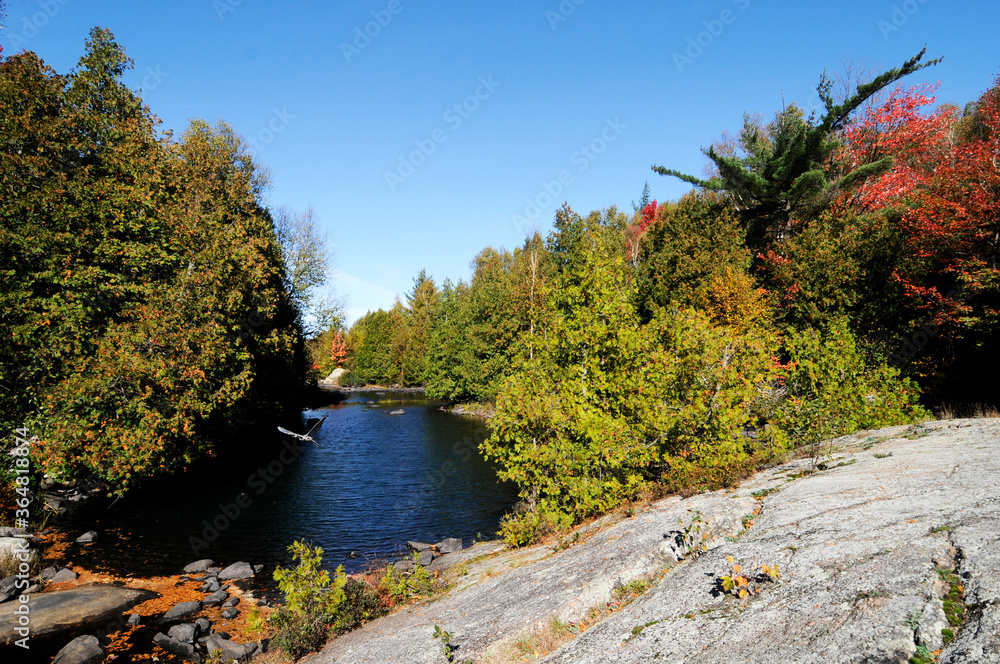 Autumn scenery landscape stock photos.  Autumn scenery multicolor leaves, river flying bird. Image. Picture.
