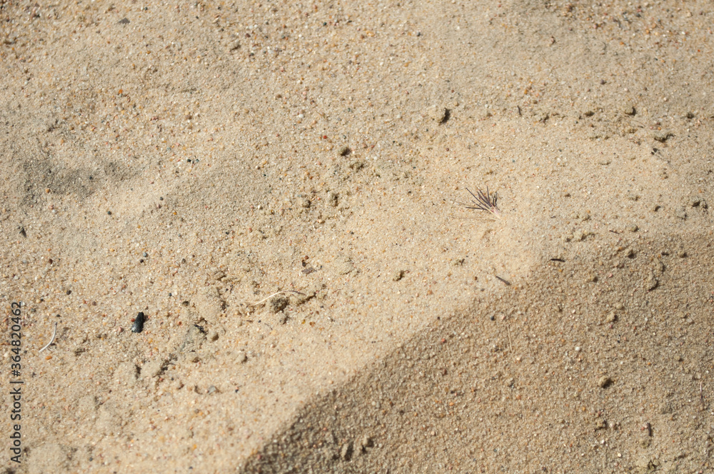 Fototapeta premium sandy background