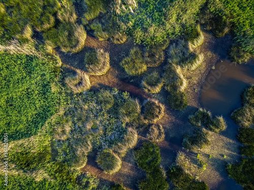 Aerial view of Dragoman Marsh (Dragomansko blato) in Bulgaria, famous wetlands in western Bulgaria in the summer