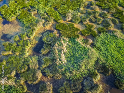 Aerial view of Dragoman Marsh (Dragomansko blato) in Bulgaria, famous wetlands in western Bulgaria in the summer photo