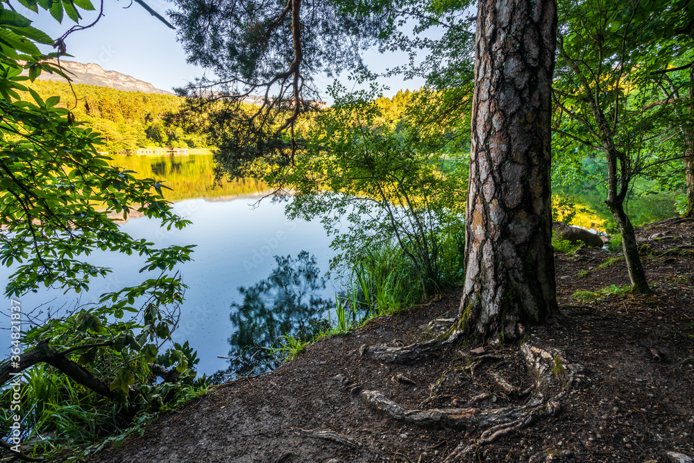 View of the beautiful Lake Monticolo in the morning in the municipality of Eppan in Italian South Tyrol. View of the beautiful Lake Monticolo in the morning in the municipality of Eppan in Italian South Tyrol.