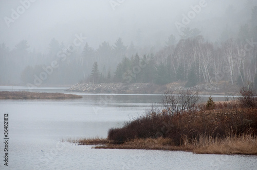 Scenery foggy stock photos. Foggy scenery landscape of trees, water, river, sky, foliage displaying its soft mist on nature in the autumn Foggy scenery landscape soft mist on nature. 