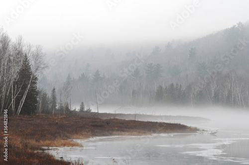 Scenery foggy stock photos. Foggy scenery landscape soft mist on nature. Foggy photos. Foggy scenery landscape of trees, water, river, sky, foliage displaying its soft mist on nature in the autumn 