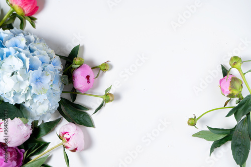 Fresh peony flowers