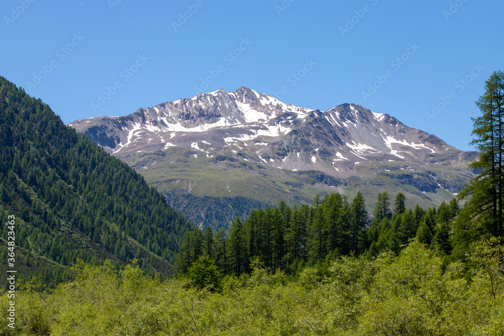 Fototapeta premium Livigno (italy) in summer. beautiful mountain landscape