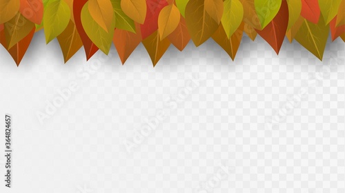 Seamless row of autumn bright foliage on a transparent background, red and yellow leaves