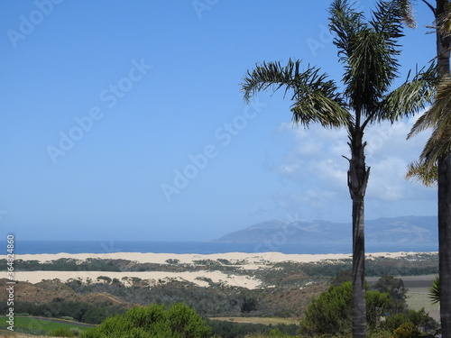 California Coastal Dunes