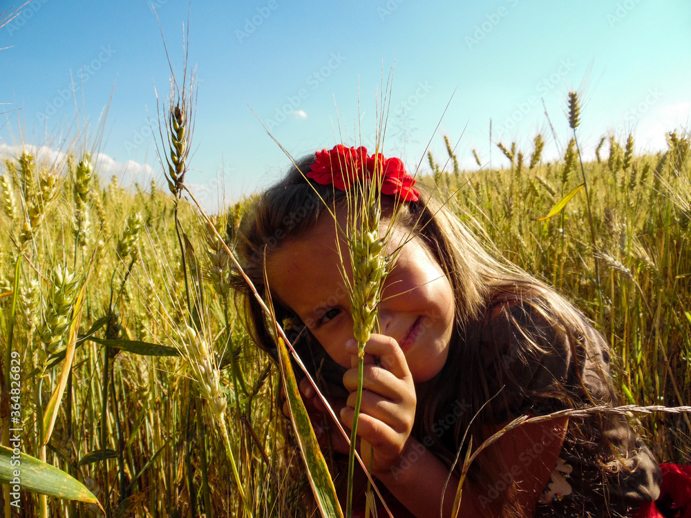 girl in a wheat field - obrazy, fototapety, plakaty 