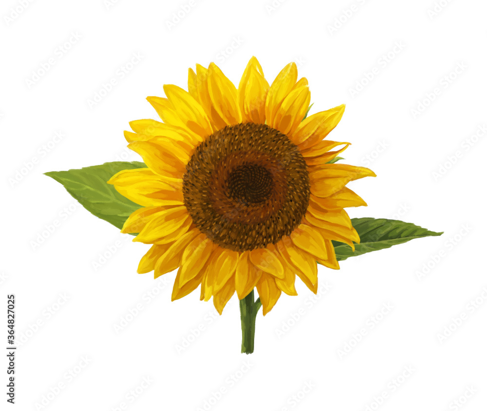 Fototapeta premium cartoon scene with beautiful flowers on white background illustration
