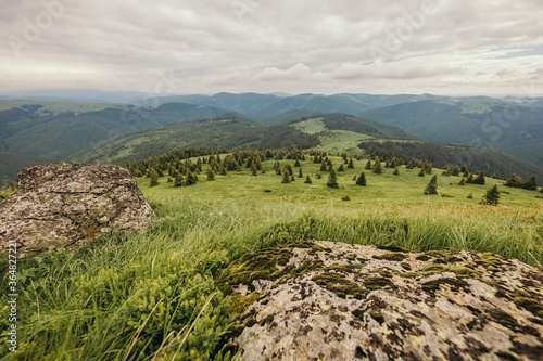 A field with a mountain in the background