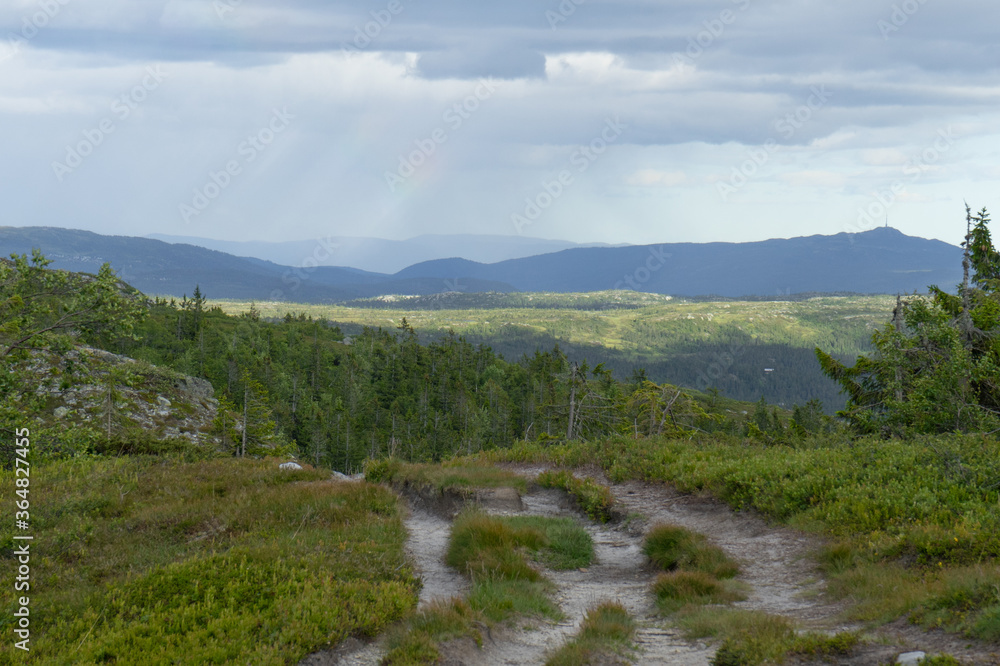 Naklejka premium Summer landscape in mountains area.