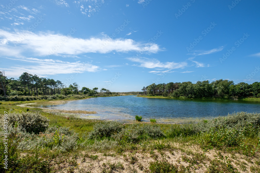 Nature and dune area called Meijendel, near The Hague and Wassenaar, South Holland province, the Netherlands. Nature and dune area called Meijendel, near The Hague and Wassenaar, South Holland province, the Netherlands.