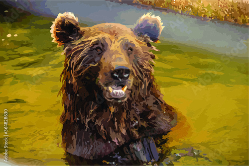 The bear