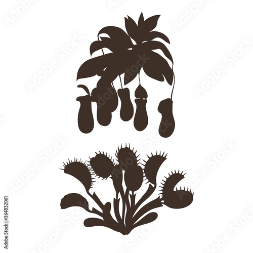 Black silhouettes of carnivorous plants isolated on white background. Vector illustration.