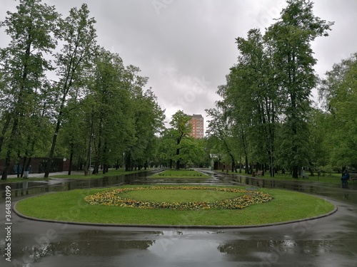 city park after a rain