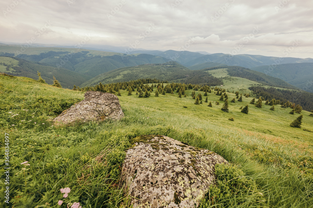 Naklejka premium A field with a mountain in the background