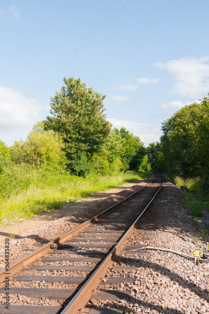 Obraz premium Railway, train tracks going through the countryside. Beautiful sunlight, shadows and nature. Be ready for a peaceful journey. Vertical shot.