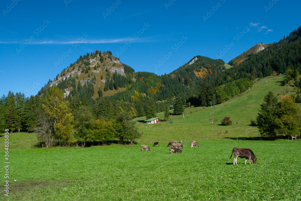 Beautiful fields and meadows of Bavarian Alps, Germany
