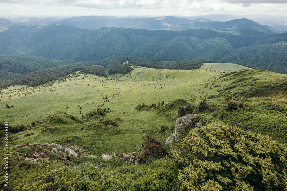 A herd of sheep standing on top of a mountain A herd of sheep standing on top of a mountain