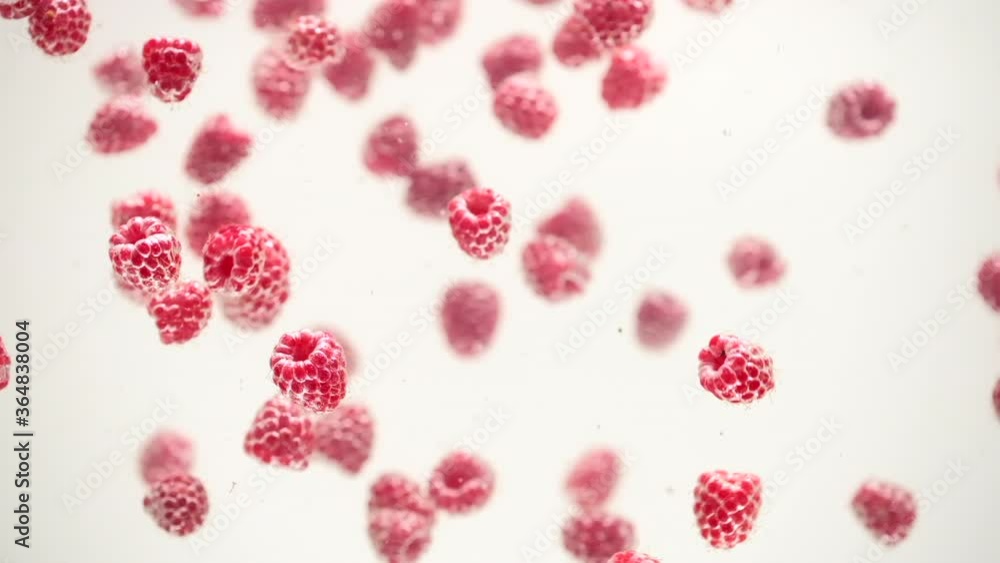 Raspberry berry falling into transparent water on white background. Sweet fresh fruits splashing in aquarium, underwater. Healthy organic food, air bubbles. Slow Motion, close-up, closeup, macro Raspberry berry falling into transparent water on white background. Sweet fresh fruits splashing in aquarium, underwater. Healthy organic food, air bubbles. Slow Motion, close-up, closeup, macro