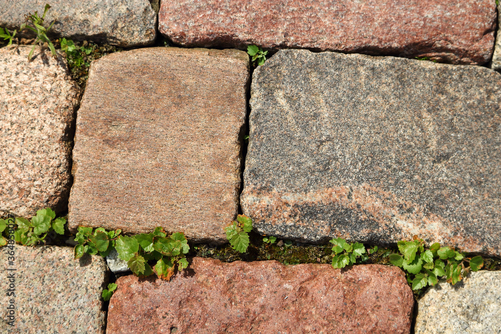Fotografie Red and grey stone bricks pavement with green grass between bricks top view