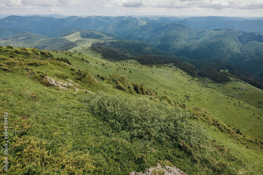 A herd of sheep standing on top of a lush green hillside A herd of sheep standing on top of a lush green hillside
