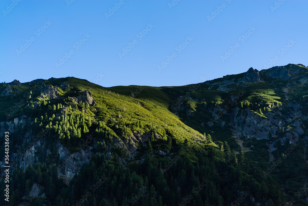 Rays of the sun cast on uphill green vegetation. Trees on the rocky mountain during sunrise.