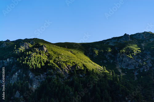 Rays of the sun cast on uphill green vegetation. Trees on the rocky mountain during sunrise.