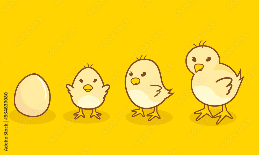Vector illustration of the character of the chicks and their eggs. very cute chicken. the chicks are with the eggs. they are so cute with yellow and adorable shapes.brown and yellow, so cute and sweet Vector illustration of the character of the chicks and their eggs. very cute chicken. the chicks are with the eggs. they are so cute with yellow and adorable shapes.brown and yellow, so cute and sweet