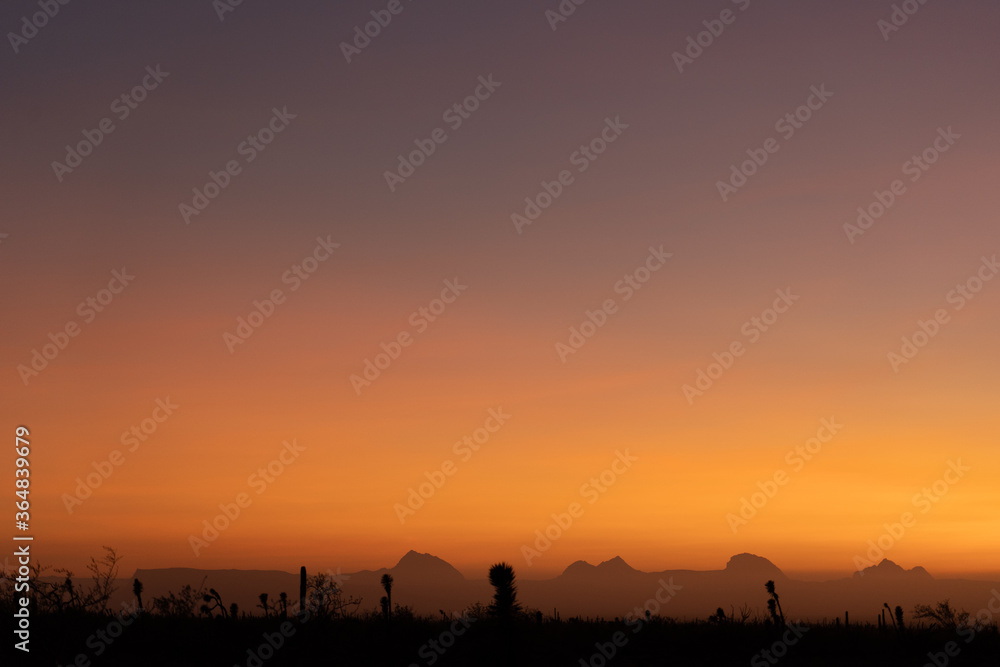 Obraz premium sunset in the desert
