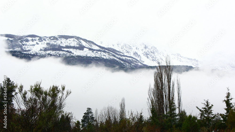 Fototapeta premium niebla