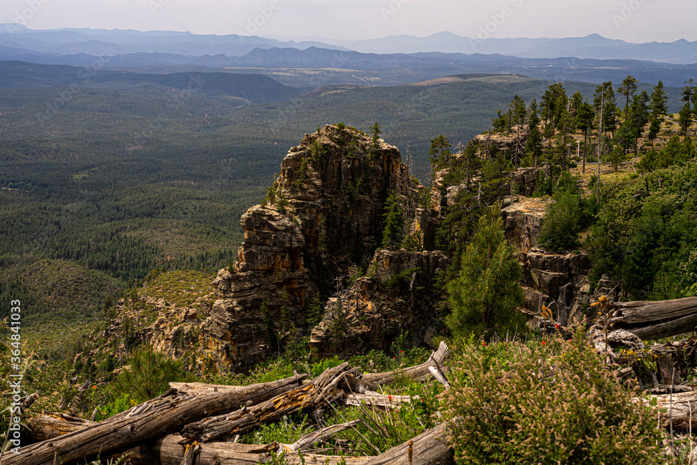 Obraz premium These cliffs overlooking the valley below, were captured from FR 300 on the Mogollon Rim in Arizona.
