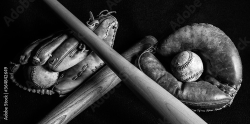 Canvas Print Black and White of two baseballs, mitt, and bats laid out on black