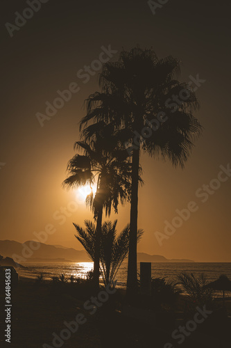 Amanece con el sol entre palmeras  siluetas con sombras enuna playa de Torrox Malaga