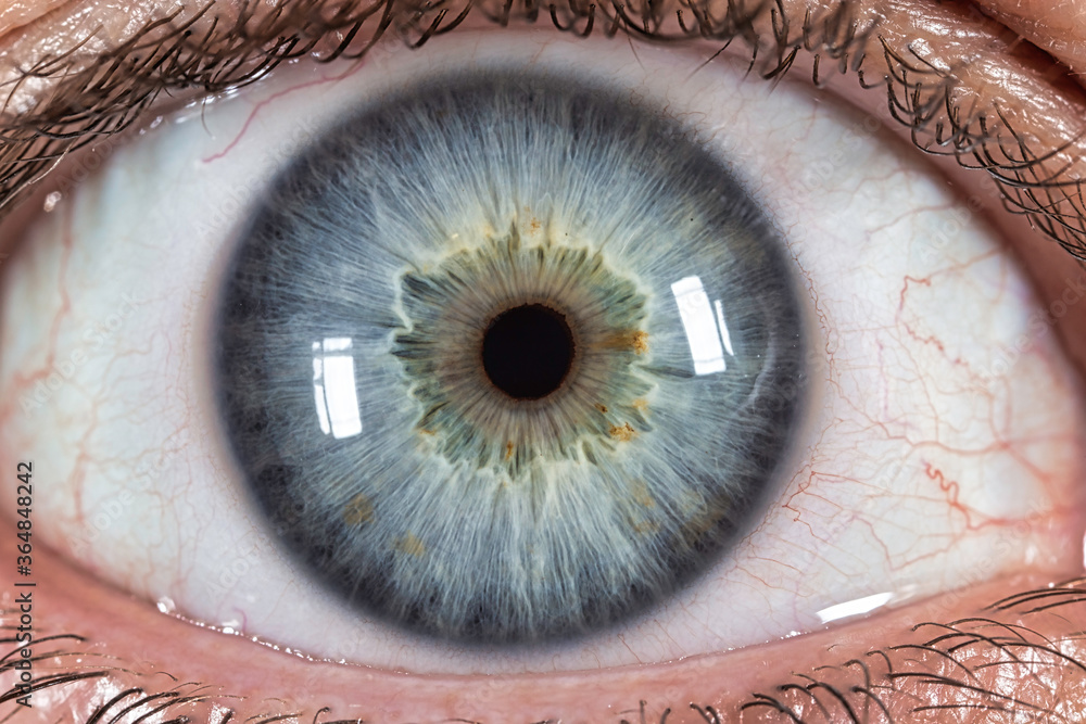 L'oeil était Dans La Tombe Et Regardait Cain Signification L’œil était dans la tombe et regardait Caïn. Stock Photo | Adobe Stock