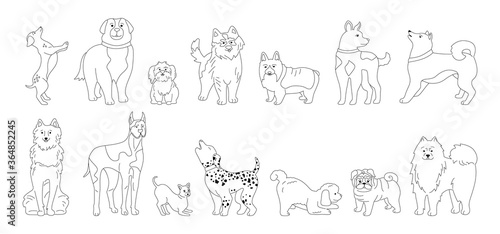 Dog character linear cartoon collection. Funny line different breeds dogs sketch flat style. Outline hand drawn friendly animals husky, corgi, pug and dachshund. Isolated vector illustration