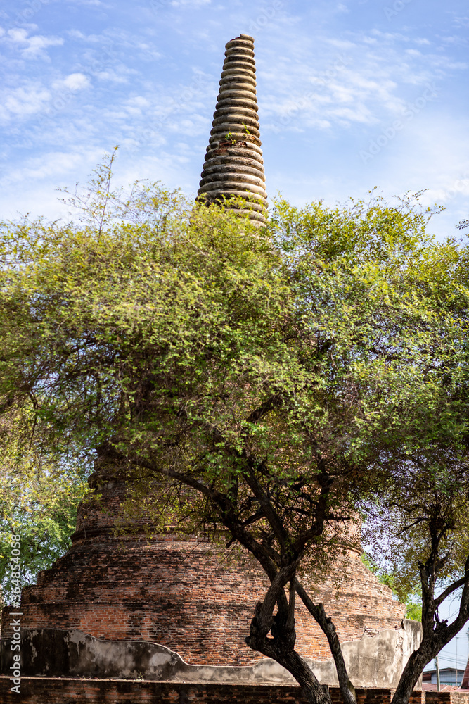 Fototapeta premium Ayuttaya